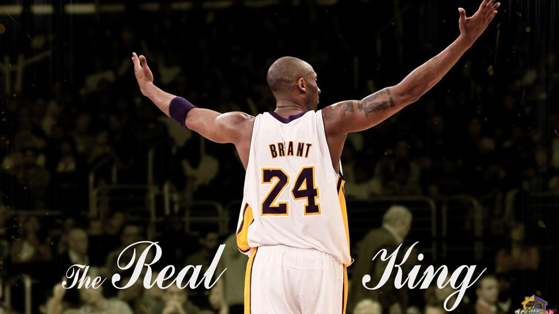 亚历克斯·格林伍德的防守韧性为袋鼠队抵御强敌进攻，格林伍德上限