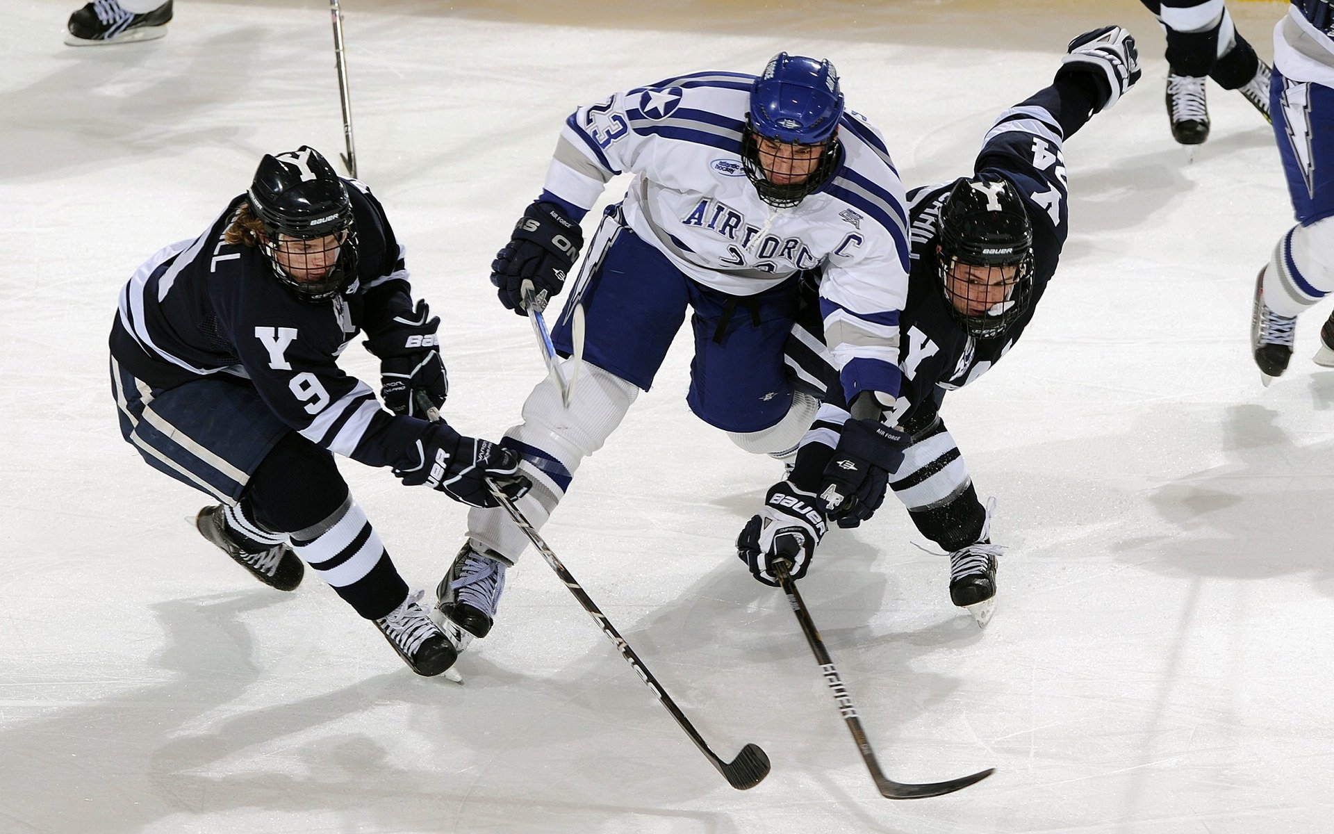英橄发展焦点正在从男队转向女队?,英式橄榄球赛程